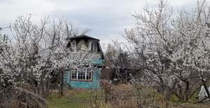 Дом 30м², 2-этажный, участок 6 сот.