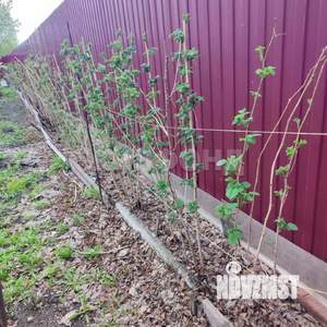 Дача 20м², 2-этажный, участок 6 сот.