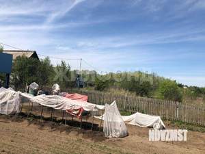 Дача 24м², 1-этажный, участок 11 сот.