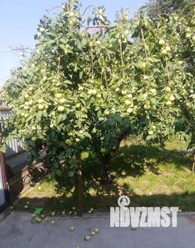 Коттедж 227м², 2-этажный, участок 8 сот.