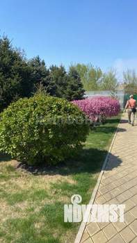 Коттедж 174м², 1-этажный, участок 12 сот.