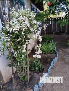 Дом 20м², 2-этажный, участок 6 сот.