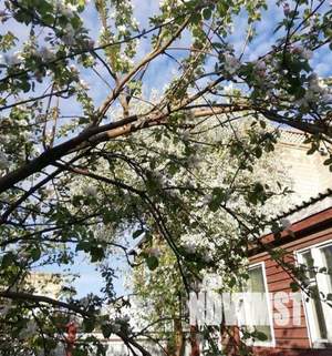 Коттедж 227м², 2-этажный, участок 8 сот.