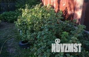 Дом 349м², 1-этажный, участок 15 сот.