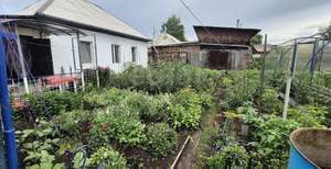 Дом 55м², 1-этажный, участок 3 сот.