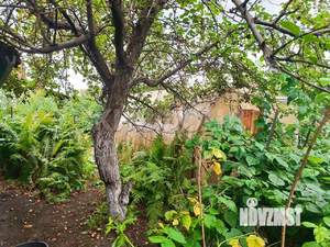 Дом 65м², 1-этажный, участок 8 сот.