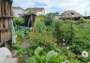 Дом 54м², 1-этажный, участок 6 сот.