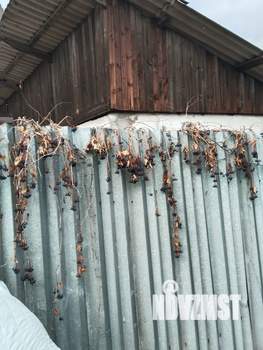 Дом 18м², 1-этажный, участок 12 сот.