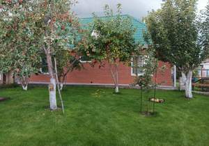 Дом 90м², 1-этажный, участок 11 сот.