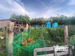 Дом 55м², 1-этажный, участок 11 сот.  