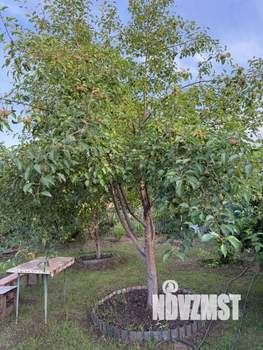 Дом 30м², 1-этажный, участок 6 сот.  