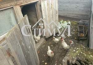 Дом 68м², 1-этажный, участок 13 сот.  