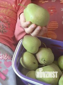 Дом 40м², 2-этажный, участок 6 сот.  