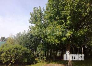 Дача 20м², 1-этажный, участок 5 сот.  