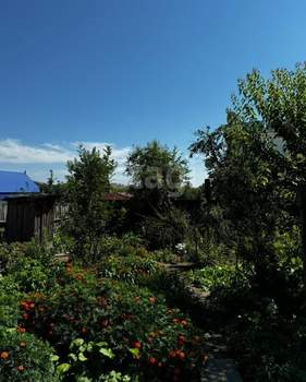 Фото дома, дачи на продажу (9)