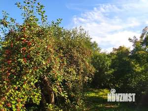 Дом 65м², 1-этажный, участок 11 сот.  