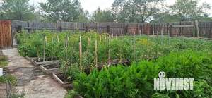 Дом 24м&sup2;, 1-этажный, участок 8 сот.  