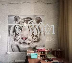 Дом 63м&sup2;, 1-этажный, участок 6 сот.  