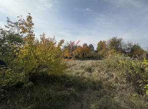 Дом 20м², 2-этажный, участок 6 сот.  