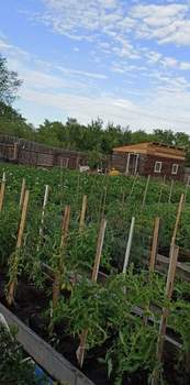 Дом 24м&sup2;, 1-этажный, участок 8 сот.  