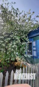 Дом 62м², 1-этажный, участок 6 сот.  