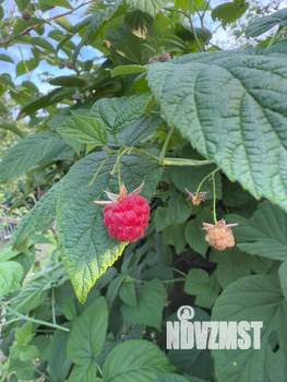 Дом 30м², 1-этажный, участок 6 сот.  