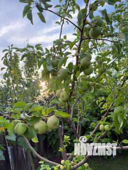 Дом 30м², 1-этажный, участок 6 сот.  