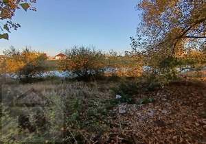 Дом 50м², 1-этажный, участок 6 сот.  