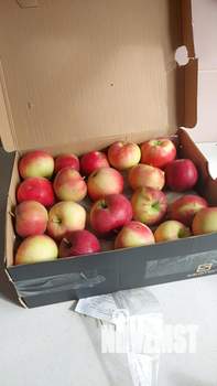 Дом 40м², 2-этажный, участок 6 сот.  