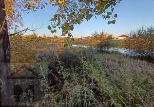 Дом 50м², 1-этажный, участок 6 сот.  