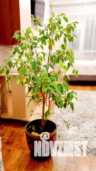 1-к квартира, посуточно, 39м2, 3/5 этаж