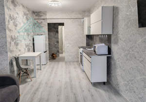 Студия квартира, на длительный срок, 28м2, 9/12 этаж