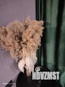 Студия квартира, посуточно, 30м2, 1/5 этаж