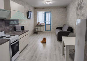 Студия квартира, на длительный срок, 28м2, 9/12 этаж