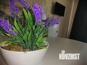 Студия квартира, посуточно, 44м2, 4/12 этаж