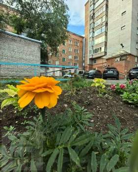 3-к квартира, вторичка, 57м2, 4/5 этаж