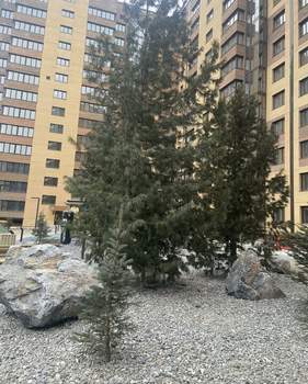 3-к квартира, сданный дом, 70м2, 5/14 этаж